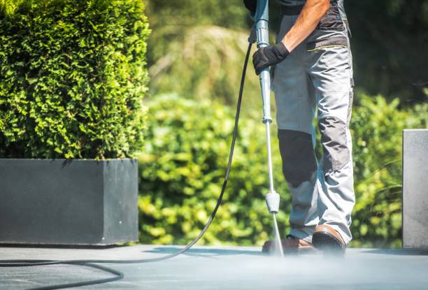 Best Sidewalk and Walkway Cleaning  in Cold Spring Harbor, NY