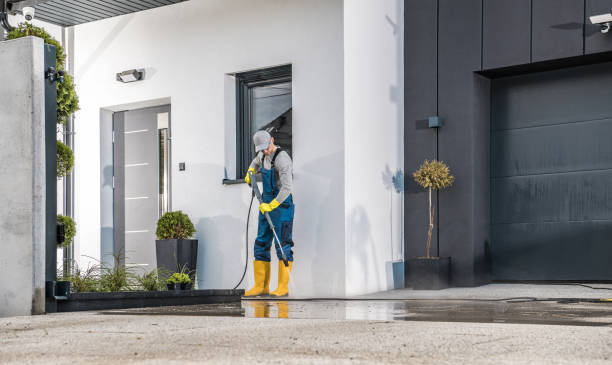 Best Gutter Cleaning  in Cold Spring Harbor, NY